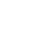 nayyapizza