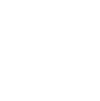 Lotus Innovation logo