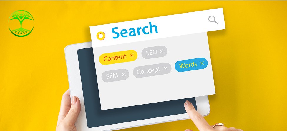 Top SEO Services in Halifax